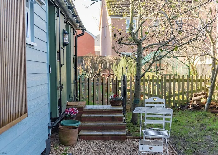 Plumcot Halt By Bloom Stays