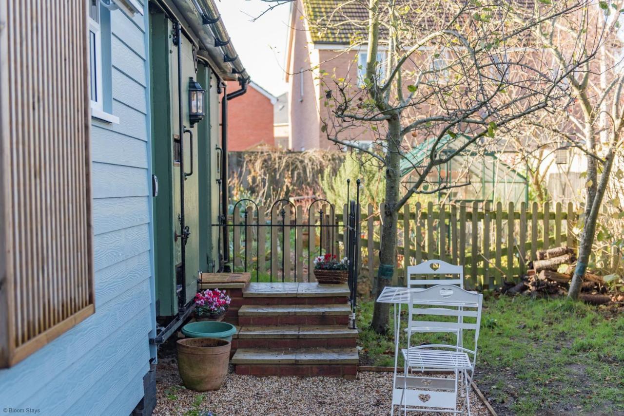 Plumcot Halt By Bloom Canterbury